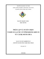 Phân lập và tuyển chọn vi khuẩn lactic có tính kháng khuẩn từ cải bẹ muối chua