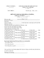 Mẫu biên bản họp đại hội đồng cổ đông