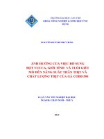 Ảnh hưởng của việc bổ sung bột yucca, giới tính và tuổi giết mổ đến năng suất thân thịt và chất lượng thịt của gà cobb 5