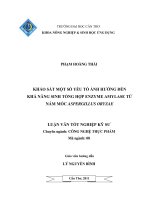 Khảo sát một số yếu tố ảnh hưởng đến khả năng sinh tổng  hợp  enzyme amylase  từ nấm mốc aspergillus oryzae
