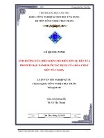 Ảnh hưởng của điều kiện chế biến đến sự kết tủa protein đậu nành dưới tác dụng của hóa chất kết tủa CaSO4