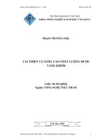 Cải thiện và nâng cao chất lượng rượu vang khóm