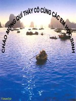 Tuần 11: Đoàn thuyền đánh cá