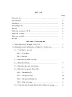 Đề xuất các giải pháp quản lý môi trường theo tiêu chí quốc gia về nông thôn mới tại xã bình hòa, huyện vĩnh cửu, tỉnh đồng nai 