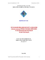 Xây dựng mô hình đánh giá chất lượng khóm (ananas comusus) trồng ở gò gao, kiên giang ở các giai đoạn cận thu hoạch và s