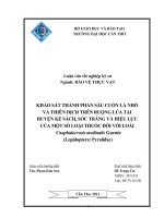 Khảo sát thành phần sâu cuốn lá nhỏ và thiên địch trên ruộng lúa tại huyện kế sách, sóc trăng và hiệu lực của một số loạ