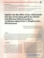 Nghiên cứu đặc điểm vi học, thành phần hóa học và tác dụng giải lo âu của hai loài mimosa (mimosa pudica l  và mimosa diplotricha c  wright ex SA  mimosaceae  