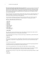 Các dấu câu trong tiếng Việt