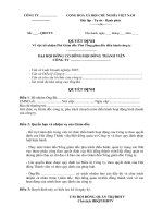 Mẫu Quyết định bổ nhiệm phó giám đốc