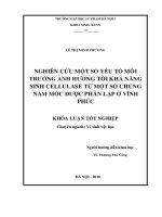 Nghiên cứu một số yếu tố môi trường ảnh hưởng tới khả năng sinh cellulase từ một số chủng nấm mốc được phân lập ở vĩnh p