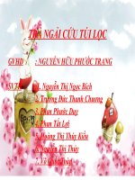 ĐỀ TÀI NGHIÊN CỨU TRÀ NGẢI CỨU TÚI LỌC