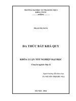 Đa thức bất khả quy (KL06506)