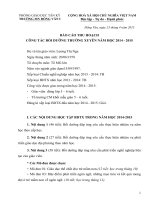Mẫu báo cáo bồi dưỡng thường xuyên năm 2015