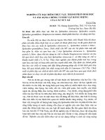 Nghiên cứu đặc điểm thực vật, thành phần hóa học và tác dụng chống vi sinh vật răng miệng của cây nút áo 