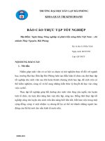 BÁO cáo THỰC tập tốt NGHIỆP địa điểm ngân hàng nông nghiệp và phát triển nông thôn việt nam – chi nhánh thủy nguyên, hải phòng 