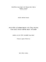 Nguyên lí dirichlet và ứng dụng vào bài toán hình học tổ hợp (KL06214)