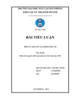 TIỂU LUẬN lý THUYẾT tài CHÍNH TIỀN tệ phân tích nguyên nhân lạm phát tại việt nam năm 2008 