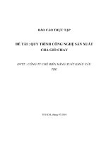 QUY TRÌNH CÔNG NGHỆ SẢN XUẤT CHẢ GIÒ CHAY