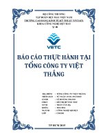Báo cáo thực tập 2 tháng tại tổng công ty việt thắng