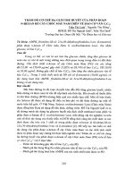 Thăm dò cơ chế hạ glucose huyết của phân đoạn n hexan rễ cây chóc máu nam trên tế bào cơ vân c2c12 