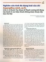 Nghiên cứu tính đa dạng loài của chi aspergillus mich  ex fr  trên 2 vị thuốc tục đoạn  thạch xương bồ đang lưu hành ở các hiệu thuốc đông dược thuộc địa bàn hà nội 