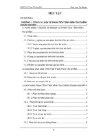 PHÂN TÍCH TÌNH HÌNH tài CHÍNH tại CTY CP vật tư TỔNG hợp và PHÂN bón hóa SINH