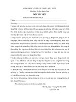 Mẫu đơn xin việc vị trí phiên dịch viên