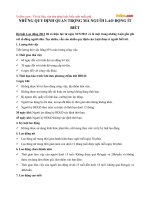 Những quy định quan trọng mà người lao động ít biết