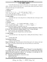 (To) wish và câu Điều kiện