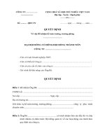 Mẫu quyết định bổ nhiệm kế toán trưởng, trưởng phòng