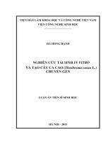 Nghiên cứu tái sinh in vitro và tạo cây ca cao (Theobroma cacao L.) chuyển gen