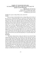 Nghiên cứu thành phần hóa học, tác dụng chống oxy và bảo vệ gan của hạt vải (semen litchi chinensis) 