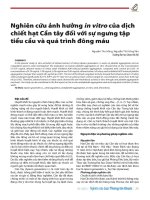 Nghiên cứu ảnh hưởng in vitro của dịch chiết hạt cần tây đối với sự ngưng tập tiểu cầu và quá trình đông máu 