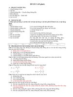 Đề thi thử học kì I môn Vật Lý 8  đề số 19