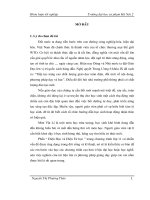 Tích cực hoá hoạt động nhận thức của học sinh trong dạy học chương v cảm ứng điện từ   vật lý 11 chương trình nâng cao (