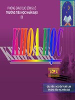 Khoa học bài : Bóng Tối