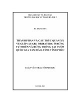 Thành phần và cấu trúc quần xã ve giáo (acari  oribatida) ở rừng tự nhiên và rừng trồng tại vườn quốc gia tam đảo, tỉnh