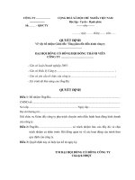 Quyết định bổ nhiệm giám đốc, tổng giám đốc