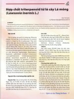 Hợp chất triterpenoid từ lá cây lá móng (lawsonia inermis l ) 