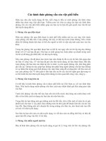 Hình thức phỏng vấn xin việc phổ biến