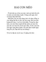 xác định chỉ số iq