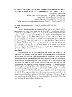 Đánh giá tác dụng ức chế một số dòng tế bào ung thư của các phân đoạn từ củ của loài stephania dielsiana y c wu 