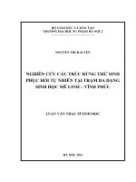 Nghiên cứu cấu trúc rừng thứ sinh phục hồi tự nhiên tại trạm đa dạng sinh học mê linh   vĩnh phúc (LV01064)