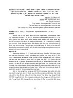 Nghiên cứu sự thay đổi hàm lượng oxostephanin trong một số mẫu củ và lá loài stephania dielsiana y c WU trồng tại ba vì, hà nội bằng phương pháp sắc ký lớp mỏng hiệu năng cao 