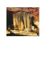 NHỮNG BỨC ẢNH ĐẸP VỀ ĐỘNG PHONG NHA