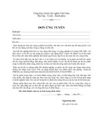 Mẫu đơn xin việc ngành Kỹ sư xây dựng