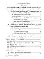 Hình thức kế toán và tổ chức bộ máy kế toán trong công ty cổ phần đầu tư và xuất nhập khẩu quảng ninh 