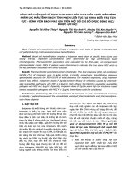 Đánh giá hiệu quả sử dụng imipenem liều 0,5 g mỗi 6 giờ trên bệnh nhân lọc máu tĩnh mạch tĩnh mạch liên tục tại khoa điều trị tích cực bệnh viện bạch mai dựa trên một số chỉ số dược động học dược lực 