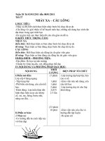 Tuần 20 (Lê Trung Thành)