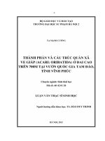 Thành phần và cấu trúc quần xã ve giáp (acari  oribatida) ở đai cao trên 700m tại vườn quốc gia tam đảo, tỉnh vĩnh phúc
